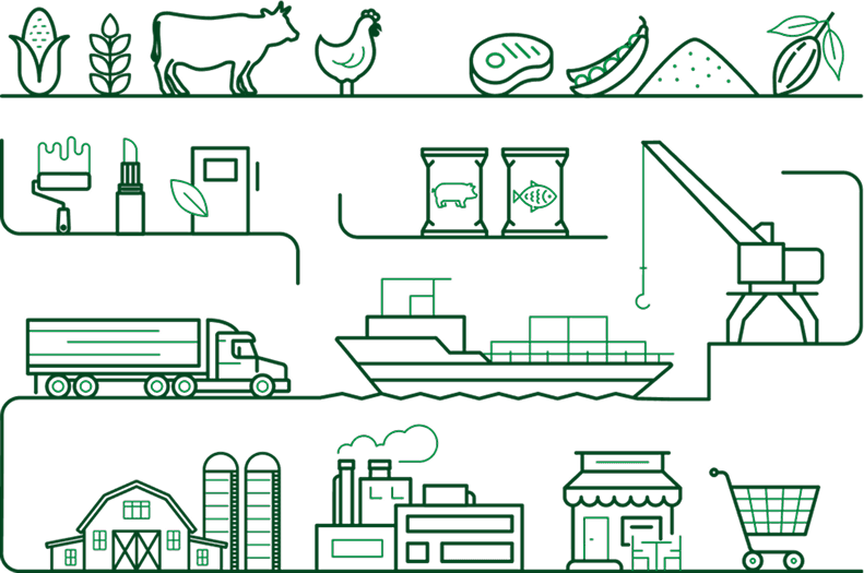 Corn production process illustration